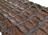 クロコ（ワニ革）