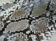 ダイヤモンドパイソン